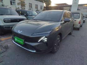 五菱汽车 五菱星光S 2024款 130km 旗舰型