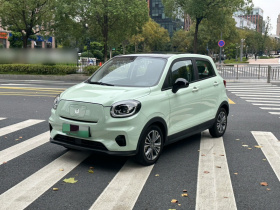 零跑汽车 零跑T03 2024款 403舒享版