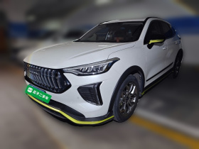 哈弗赤兔 2022款 劲享版 1.5T 紫铜兔