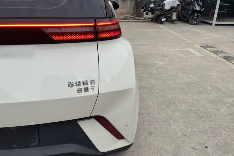 比亚迪 海鸥 2023款 活力版车身外观6005