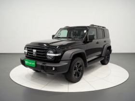 坦克300 2021款 越野版 2.0T 征服者