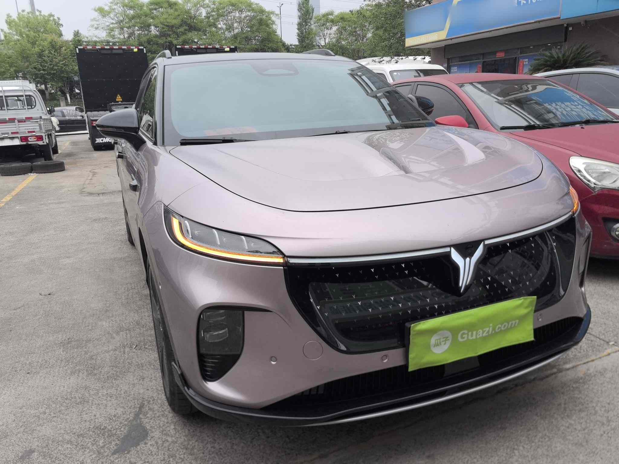岚图汽车 岚图知音 2024款 四驱全球版(5)