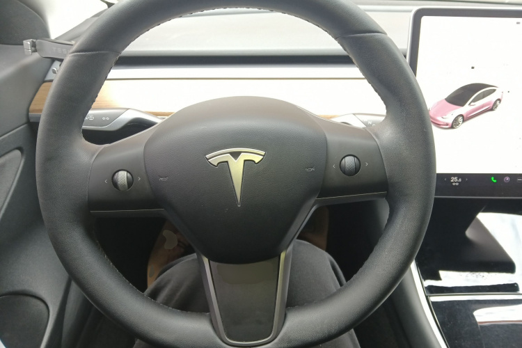 特斯拉 Model 3 2020款 改款 标准续航后驱升级版中控内饰13