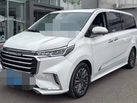 上汽大通MAXUS 大通G20 2020款 2.0T 汽油自动智尊版