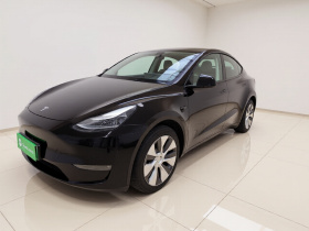 特斯拉 Model Y 2021款 标准续航后驱版