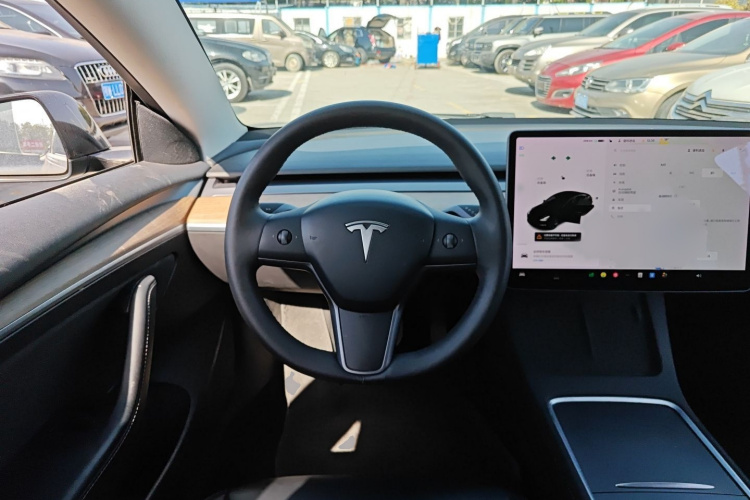 特斯拉 Model 3 2021款 标准续航后驱升级版 3D6局部细节13