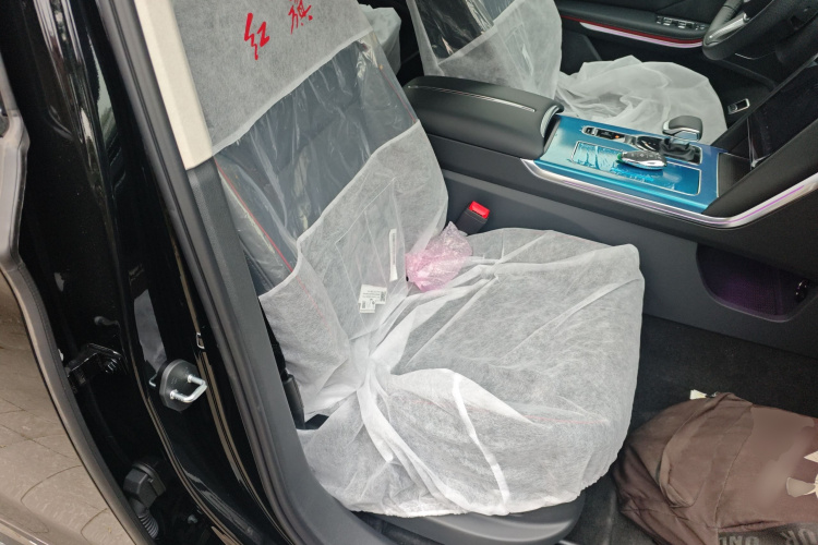 红旗HS7 PHEV 2025款 2.0T PHEV 四驱200万辆纪念版 6座局部细节41