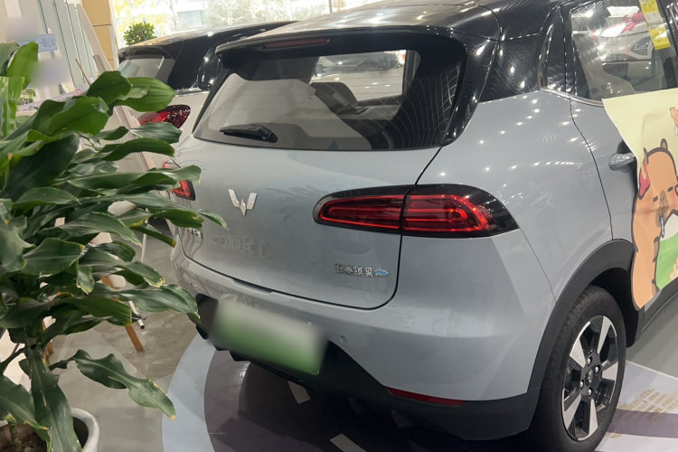 五菱汽车 五菱缤果PLUS 2024款 401km 五座版车身外观6004