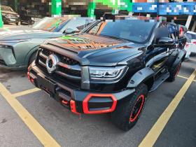 长城 炮 2022款 2.0T黑弹特别版GW4C20B