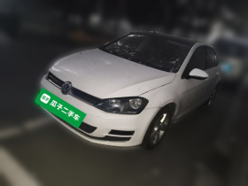 大众 高尔夫 2015款 1.4TSI 自动豪华型