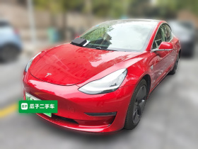 特斯拉 Model 3(进口) 2019款 长续航全轮驱动版