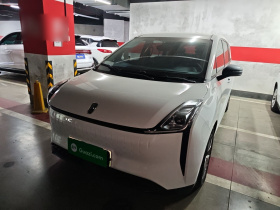 奔腾NAT 2023款 PRO 舒享出行版 419km