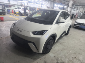 比亚迪 海鸥 2025款 305km 活力版