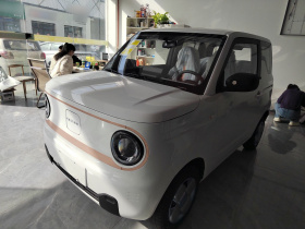 吉利银河 2024款 熊猫mini 200km 耐力熊