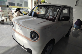 吉利银河 2024款 熊猫mini 200km 耐力熊