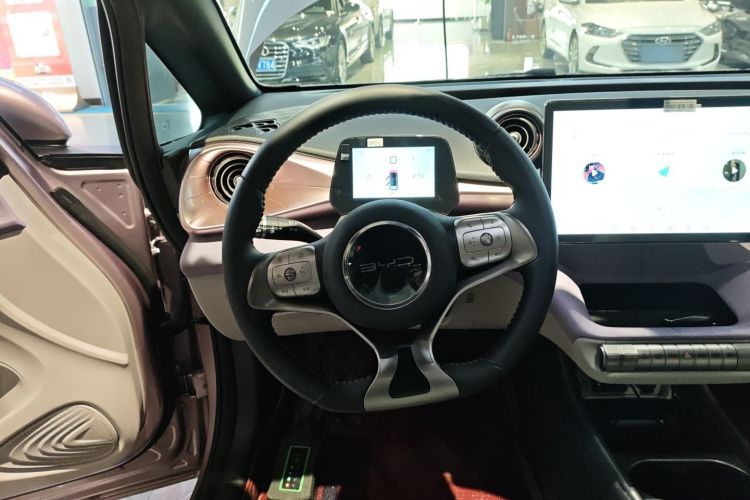 比亚迪 海豚 2021款 405km 时尚版局部细节13