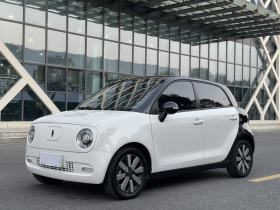 欧拉黑猫 2019款 351km 灵智版