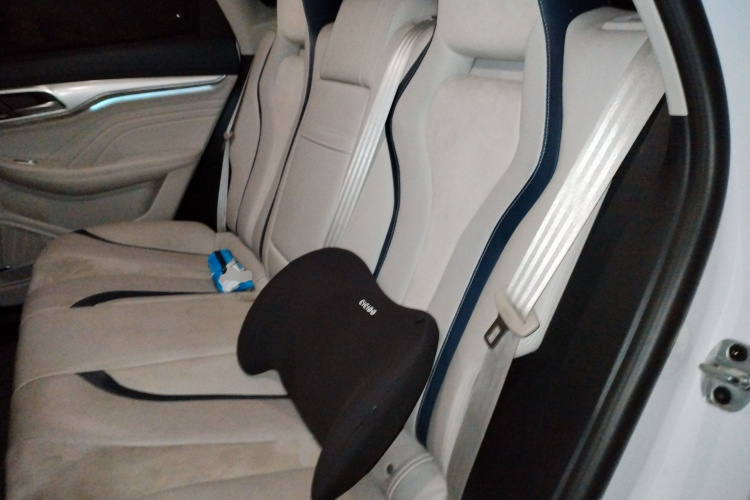 飞凡汽车 飞凡MARVEL R 2021款 后驱PRO版中控内饰21