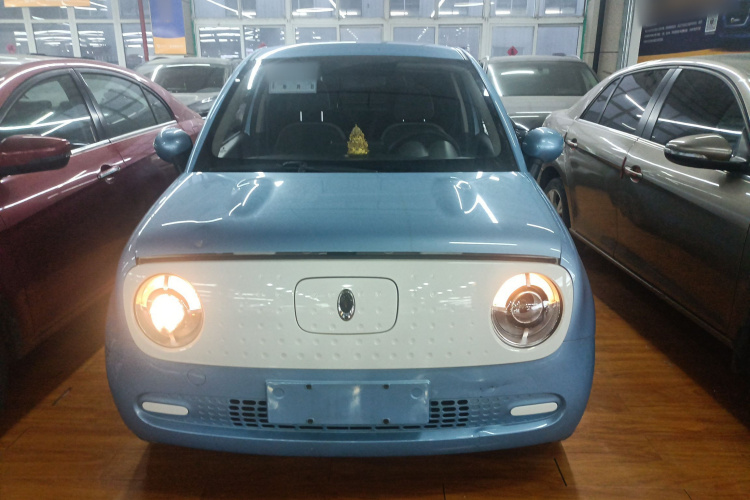 欧拉黑猫 2019款 301km 标准版车身外观2