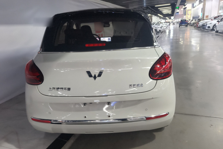 五菱汽车 五菱缤果 2023款 333km 灵犀互联款车身外观6004