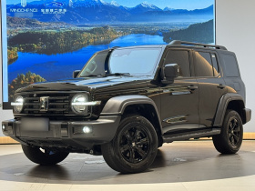 坦克300 2024款 2.0T 挑战者