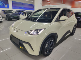 比亚迪 海鸥 2023款 自由版