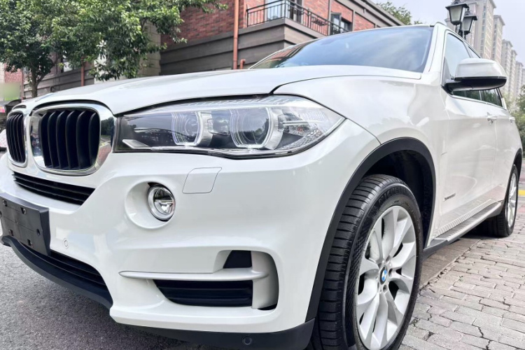 宝马X5(进口) 2014款 xDrive35i 典雅型局部细节36
