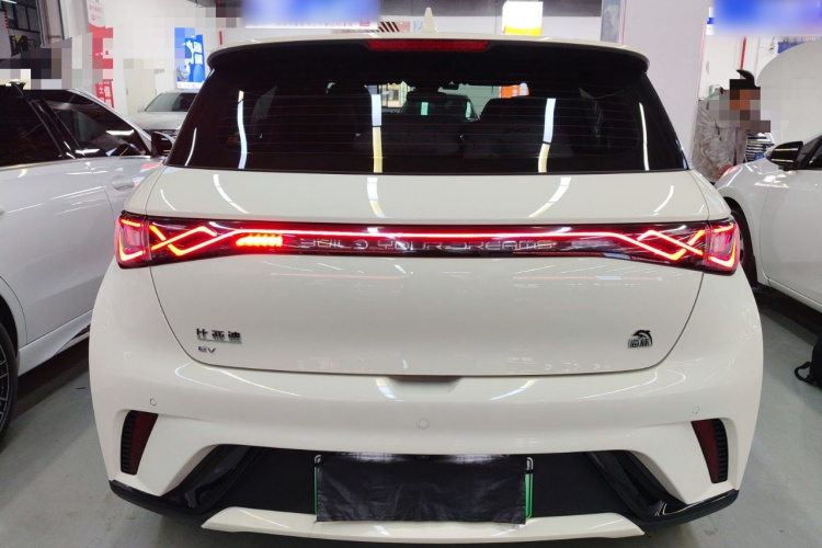 比亚迪 海豚 2021款 405km 时尚版车身外观6