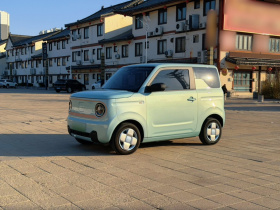 吉利银河 2024款 熊猫mini 200km 耐力熊