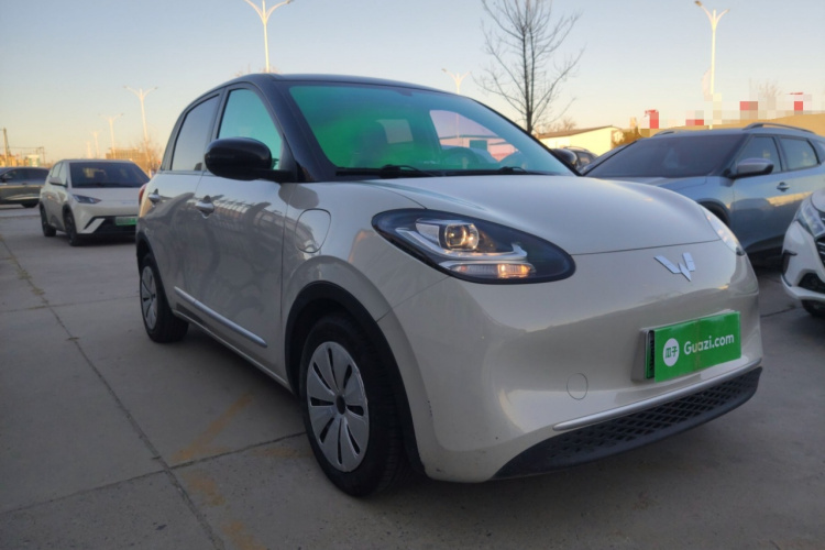 五菱汽车 五菱缤果 2023款 203km 轻享款车身外观3