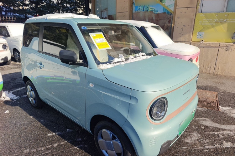 吉利银河 2024款 熊猫mini 200km 耐力熊车身外观3