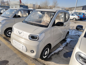 五菱汽车 宏光MINIEV 2024款 第三代 215km 青春版