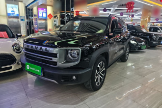 哈弗大狗 2024款 1.5T DCT边牧版