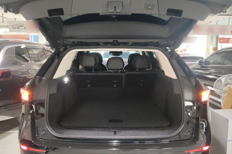 奇瑞 瑞虎9 2023款 2.0T 双离合两驱领先版 5座机舱底盘23