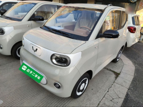 五菱汽车 宏光MINIEV 2024款 第三代 215km 青春版