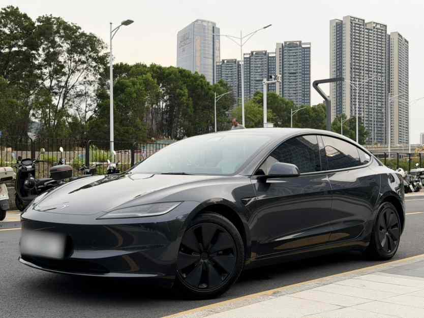 特斯拉 Model 3 2023款 长续航全轮驱动版(1)
