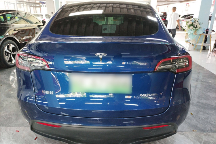 特斯拉 Model Y 2021款 标准续航后驱版车身外观6004