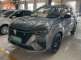 荣威RX5新能源 2020款 ePLUS 国潮荣麟豪华版