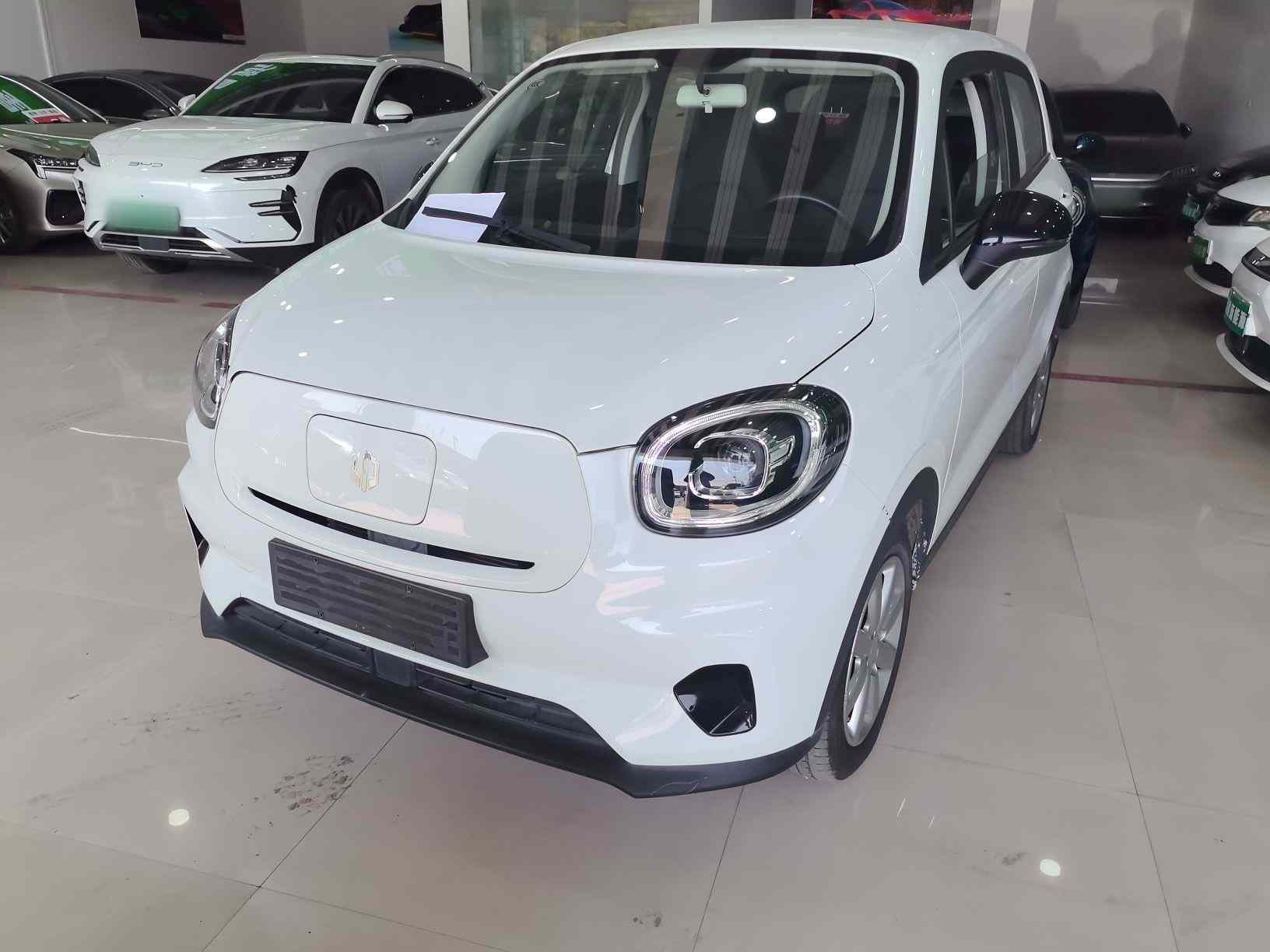 零跑汽车 零跑T03 2022款 玛瑙版(2)
