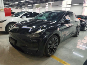 特斯拉 Model Y 2021款 Performance高性能全轮驱动版