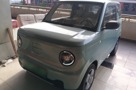 吉利银河 2023款 熊猫mini 200km 耐力熊