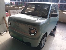 吉利银河 2023款 熊猫mini 200km 耐力熊