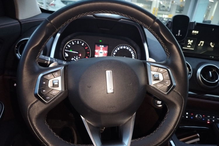 魏牌 VV5 2019款 升级款 2.0T 两驱超豪型 国V局部细节13