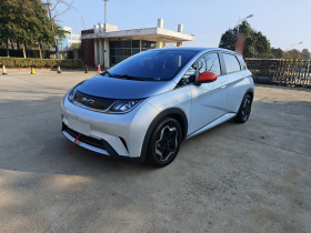 比亚迪 海豚 2021款 405km 时尚版