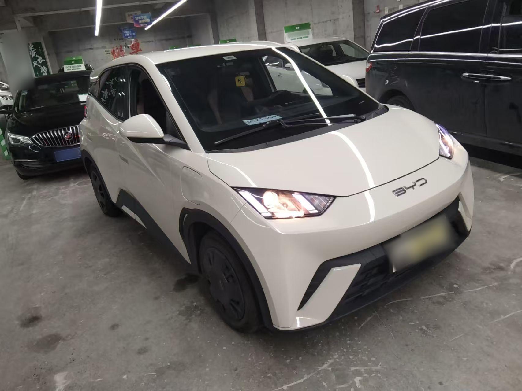 比亚迪 海鸥 2023款 活力版