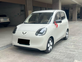 五菱汽车 宏光MINIEV 2025款 四门版 进阶款