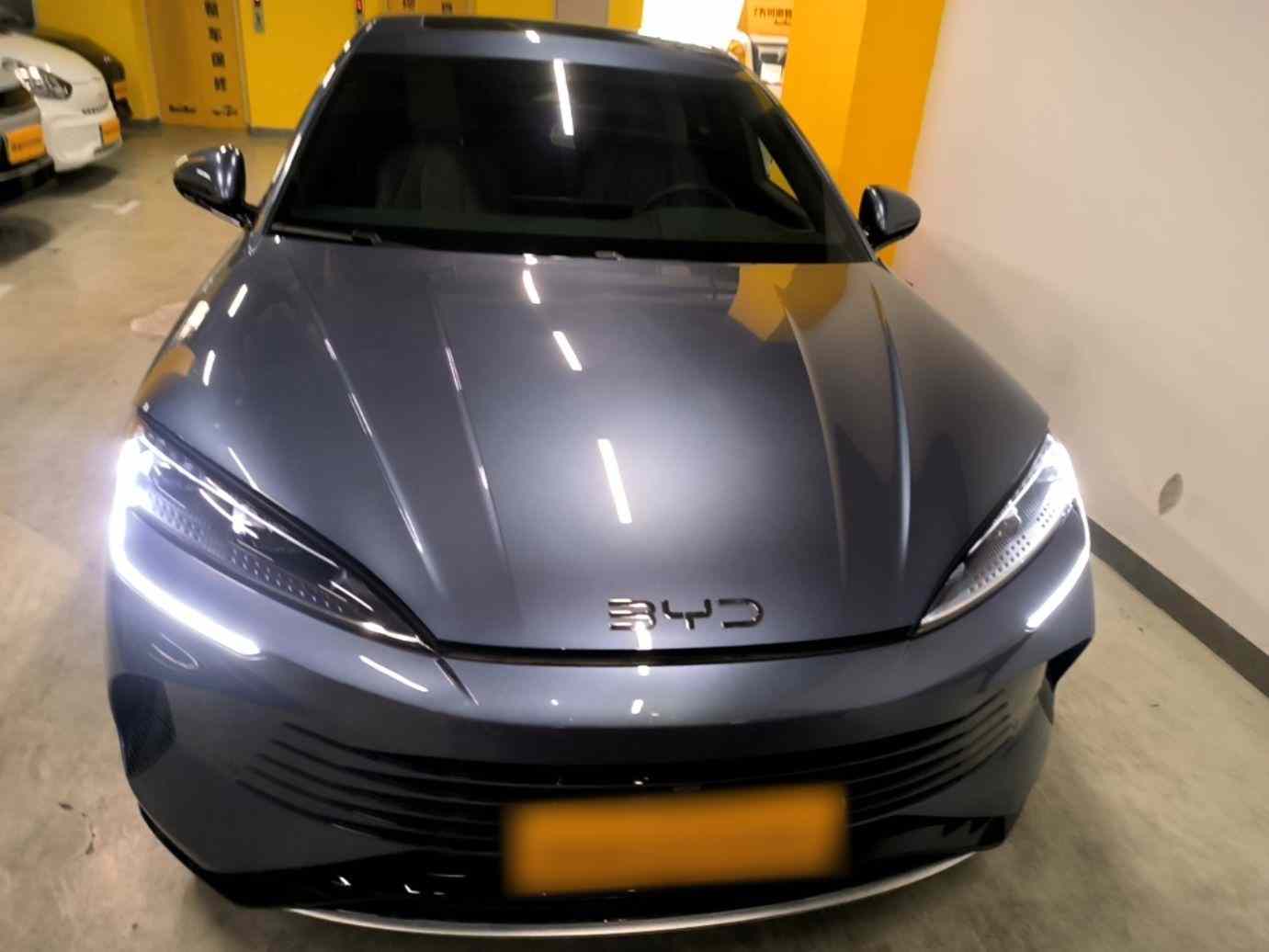 比亚迪 海豹 2024款 荣耀版 DM-i 1.5L 121km 豪华型(1)