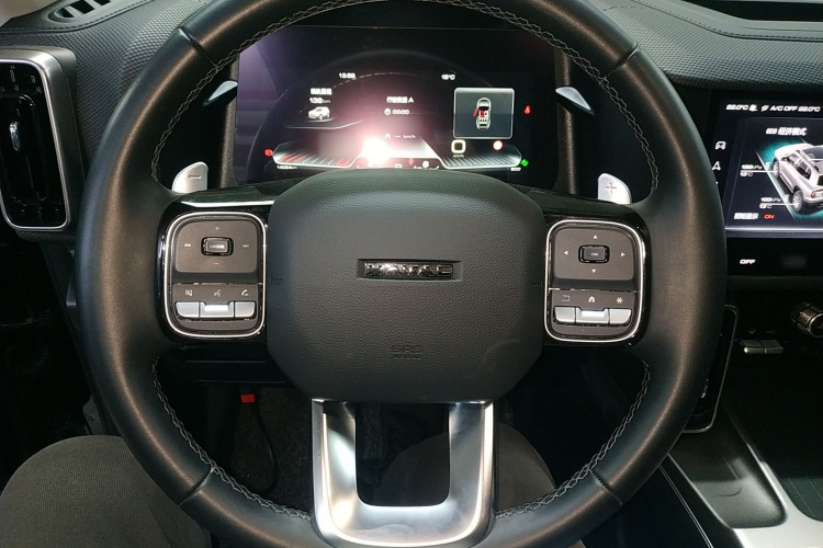 哈弗大狗 2024款 2.0T DCT中华田园犬版中控内饰13