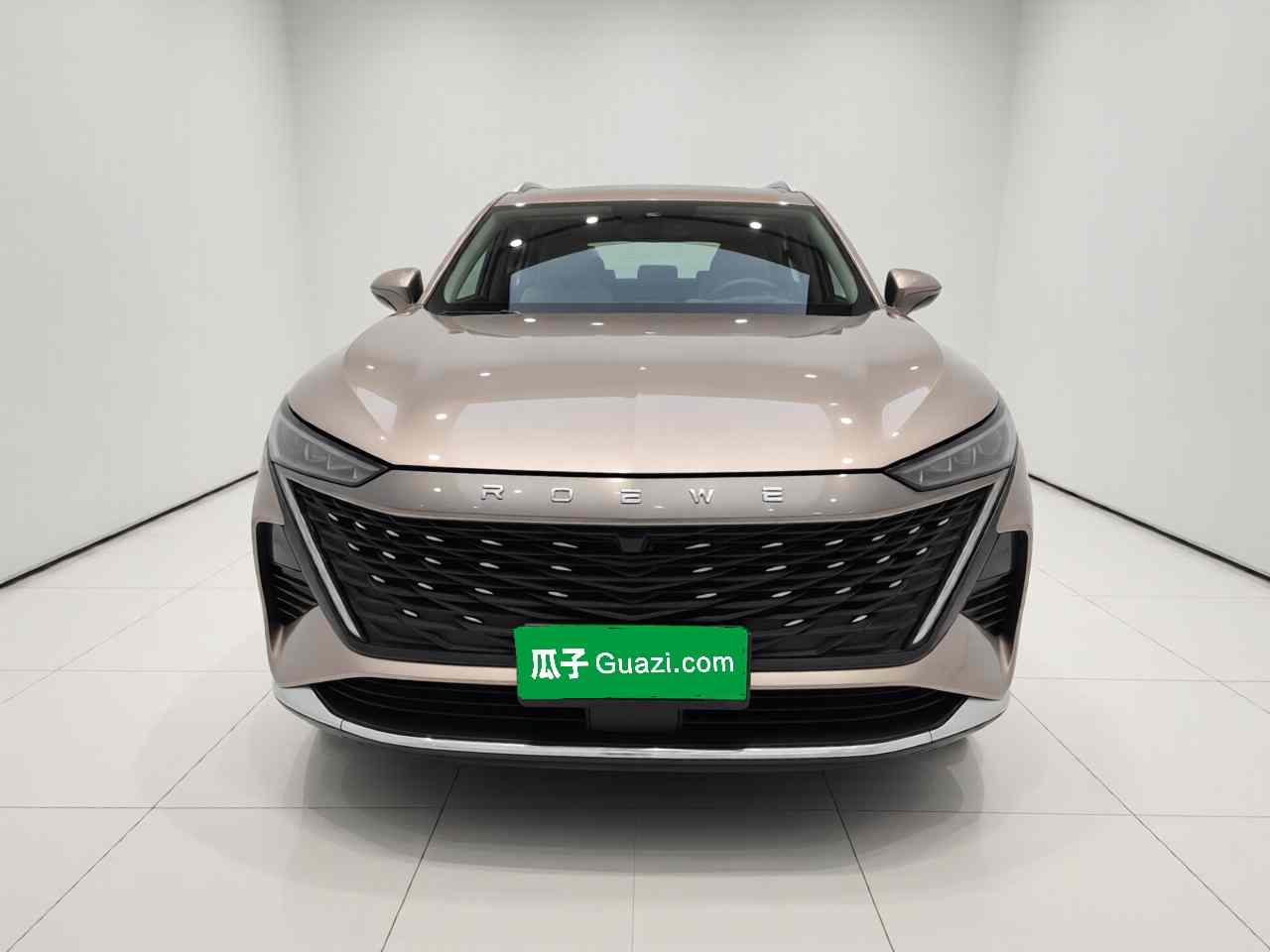 荣威RX9 2023款 2.0T 两驱越享版(1)