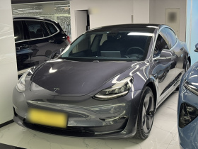 特斯拉 Model 3 2020款 改款 长续航后轮驱动版